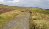 Trail On foot Inishowen Municipal District - Inishowen Head Walk - Photo 4