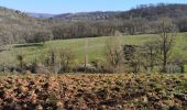 Trail Walking Saint-Christophe-Vallon - Le Puech du Cayla  - Photo 14