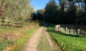 Trail Walking Dilbeek - WSV D Trekplosters. 12 km  - Photo 4