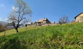 Tocht Stappen Vallières-sur-Fier - VALLIERES 3 - Photo 6