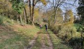 Tocht Stappen Saint-Victor-de-Morestel - 20211102 balade - Photo 2