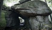 Percorso A piedi Waldhausen im Strudengau - Ausblicksrunde - Photo 10