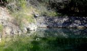 Randonnée Marche La Valette-du-Var - Tourris - Source ripelle - Mont combe - Barrage - Olivières - Carriere aux fourmis - Grottes de sable - Chateau de Tourris - Photo 6