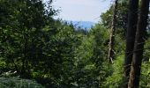 Tour Wandern Aumessas - Lac de Pises au départ Le Travers - Photo 14