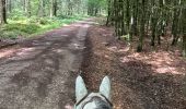 Tocht Paardrijden Vielsalm - Mont-le-Soie Boucle orange - Photo 16