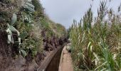 Randonnée Marche Ribeira Brava - Levada Boa Morte - Photo 4