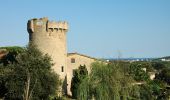 Tour Zu Fuß Castell-Platja d'Aro - SL-C 30 Roques Martines - Photo 1