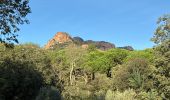 Excursión  Roquebrune-sur-Argens - Roquebrune  - Photo 1