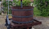 Tour Wandern Sommeval - Sommeval 10 kms - Photo 1