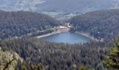 Randonnée Marche Le Valtin - gazon du faing, lac noir et truites  - Photo 2