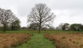 Randonnée A pied Mid Suffolk - Waveney Trail - Photo 2