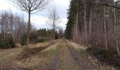Trail Walking Aywaille - deigne . menobu . hautregard . hassoumont . deigne - Photo 2