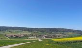 Trail On foot Fisibach - Fisibach- Bachs - Photo 10