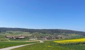 Tour Zu Fuß Stadel - Zweidlen Station - Neerach - Photo 4