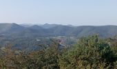 Tocht Stappen Bundenthal - baerensteig bruchweiler baerenbach - Photo 16