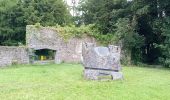 Randonnée A pied The Municipal District of Castlecomer - Walled Garden Loop - Photo 2