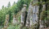 Tour Zu Fuß Velburg - Lengenfeld - Tropfsteinhöhle - Photo 5