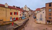 Randonnée Marche Langres - Boucle 32 km autour de Langres - Photo 4