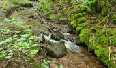 Trail Walking Oberhaslach - Circuit des 2 cascades - Photo 9