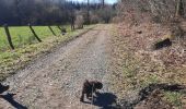Trail Walking Bertrix - adeps framont  - Photo 10