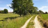 Excursión Bici eléctrica Ronse - Renaix - Ferme Dôrloû à Wodecq - Photo 15