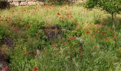 Percorso Marcia Saint-Raphaël - Z LE VALLON DE BARBAN 21-05-19 - Photo 17