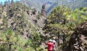 Trail On foot El Paso - Wikiloc - Caldera de taburiente Los Brecitos to Parking Barranco de las Angustias - Photo 9