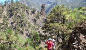 Tour Zu Fuß El Paso - Wikiloc - Caldera de taburiente Los Brecitos to Parking Barranco de las Angustias - Photo 9