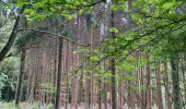 Tour Wandern Doische - Vallée de l'Hermeton - Photo 19