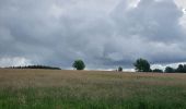 Tour Wandern Vresse-sur-Semois - rando laforêt 24-05-2022 - Photo 16