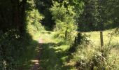 Trail Walking Durbuy - Villers - Photo 11