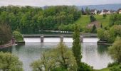 Tocht Te voet Rheinau - Brücke Rheinau - Strick - Photo 10