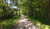 Tocht Stappen Mettet - Bossiere St Gérard 010621 - Photo 7