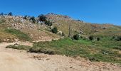 Excursión Bici de montaña Zicavo - Balade sur le plateau du Coscione - VTT - Photo 13