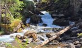 Percorso Marcia Montriond - Cascade d'Ardent- Les Lindarets - Photo 1