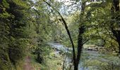 Tocht Stappen Goumois - Circuit du barrage de la Goule - Photo 6