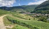 Trail Walking Cerdon - Cedron  - Photo 11