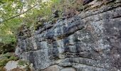 Tour Wandern Fontainebleau - T1-Grotte Beatrix  - Photo 6