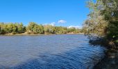 Percorso Marcia Roquebrune-sur-Argens - lac de l arena - roquebrune - Photo 4