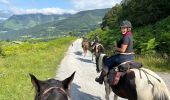 Trail Horseback riding Accous - Accous-Lescun-Lhers - Photo 5