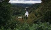 Tocht Stappen Bouillon - Dohan 12km 2020  - Photo 11