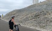 Trail Electric bike Sault - le mont Ventoux  - Photo 6