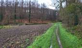 Tour Wandern Jemeppe-sur-Sambre - Spy 191224 - Photo 13