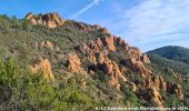 Tour Wandern Saint-Raphaël - SityTrail - oppidum  - Photo 6