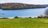 Excursión Senderismo Froidchapelle - La balade du grand cerf aux lacs de l’eau d’heure  - Photo 6