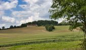 Tour Wandern Vichères - Vichères à Rougement 9,3 km - Photo 3