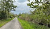 Tour Wandern Hamme - Kastel 15,5 km - Photo 8