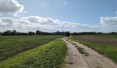 Trail Walking Luynes - Luynes la Rue Barbier - la Loire et l'Aqueduc - 12.3km 100m 3h20 (35mn) - 2025 09 15 - Photo 13