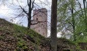 Tour Wandern Wangenburg-Engenthal - 2023-04-28_17h34m45_2023-04-26_10-35(2) - Photo 1