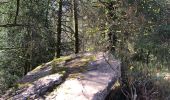Trail Walking Sare - Circuit des trois bornes. Grottes de Sare - Photo 6